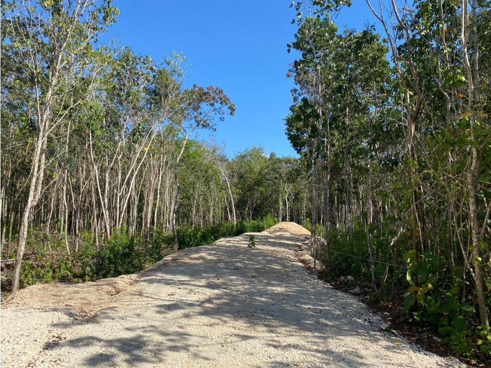 Venta Terreno Ecológico Cancun. El Pedregal 3000m2 1.1 MDP - 5