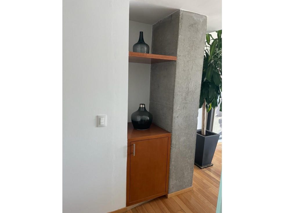 Departamento en Venta Arquímedes Polanco — foto 5