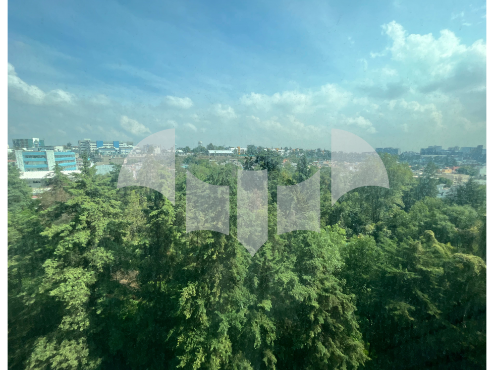 DEPARTAMENTO EN VENTA RESIDENCIAL LOMAS — foto 4