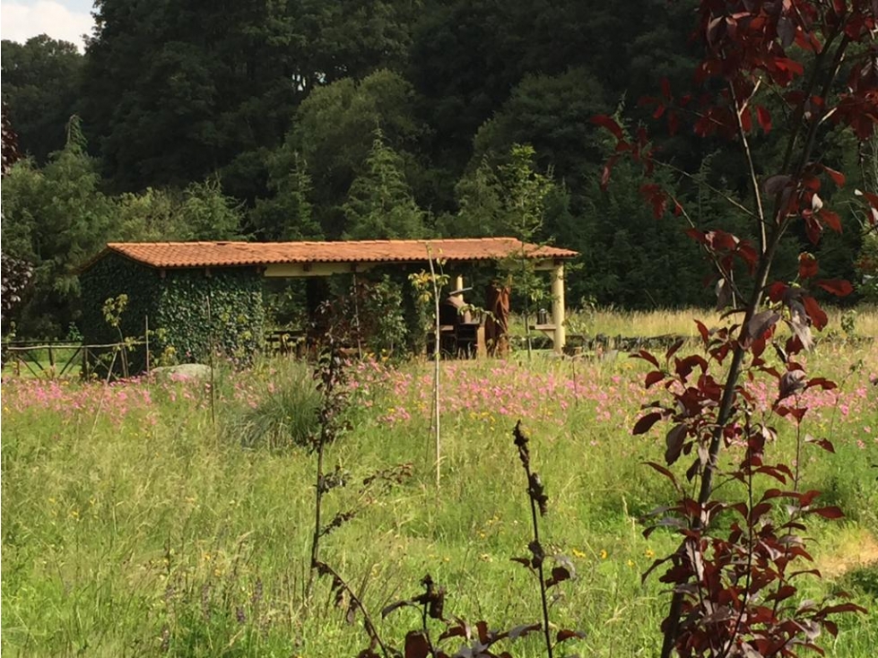 Terreno/Lote Venta Carretera México-Toluca, Lerma - 1