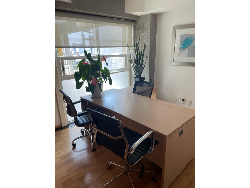 Departamento en Venta Arquímedes Polanco — foto 2