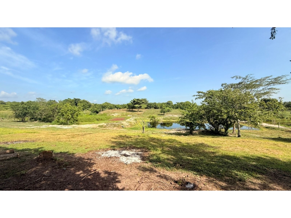 VENTA DE FINCA EN POLONUEVO - 6