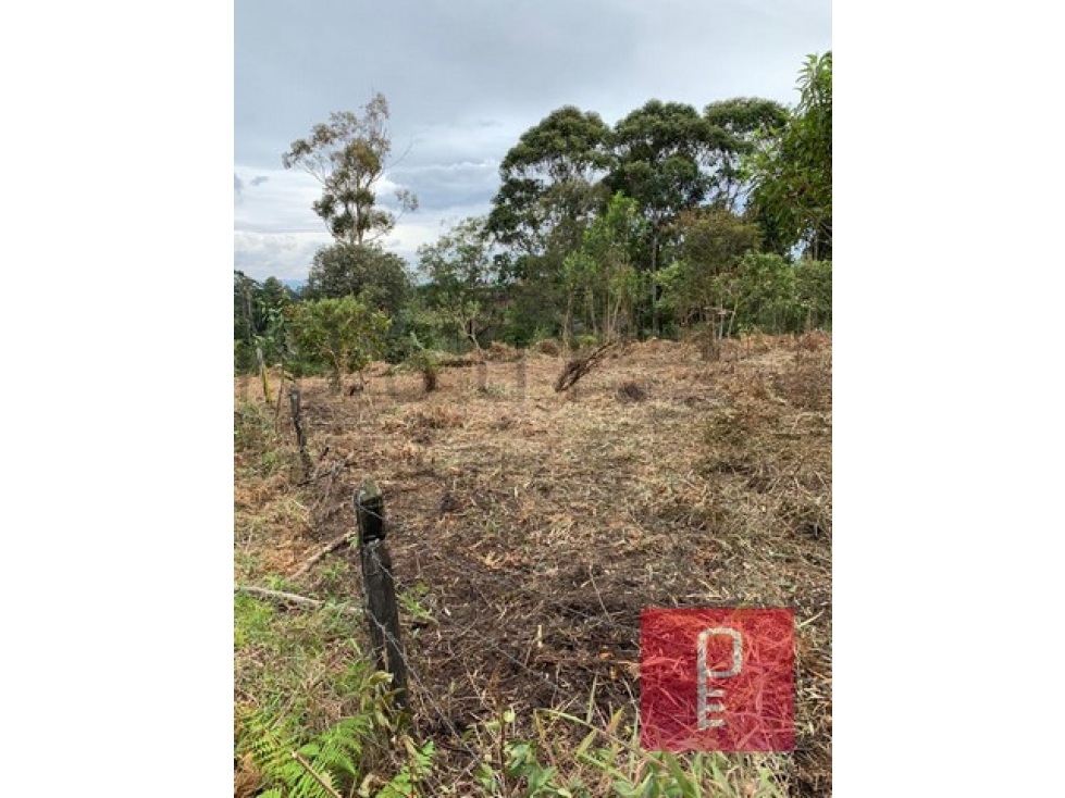 Lote en Venta Vereda Los Pinos Rionegro