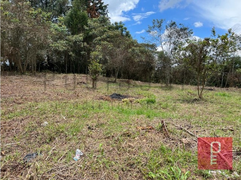 Lote en Venta Vereda Los Pinos Rionegro