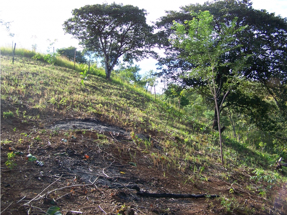 TERRENO A LA VENTA EN SANTA CATALINA VERAGUAS - 4