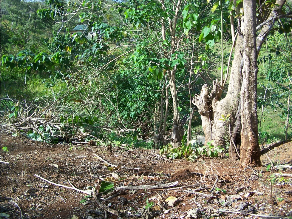 TERRENO A LA VENTA EN SANTA CATALINA VERAGUAS - 5