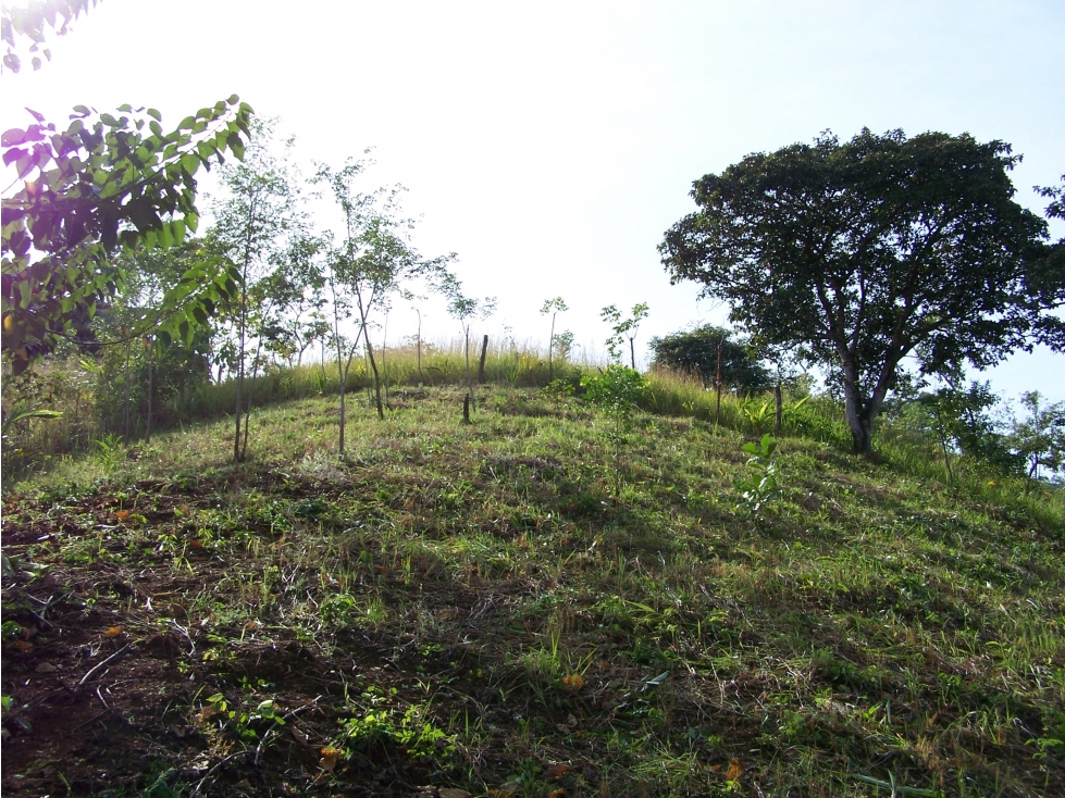 TERRENO A LA VENTA EN SANTA CATALINA VERAGUAS - 3