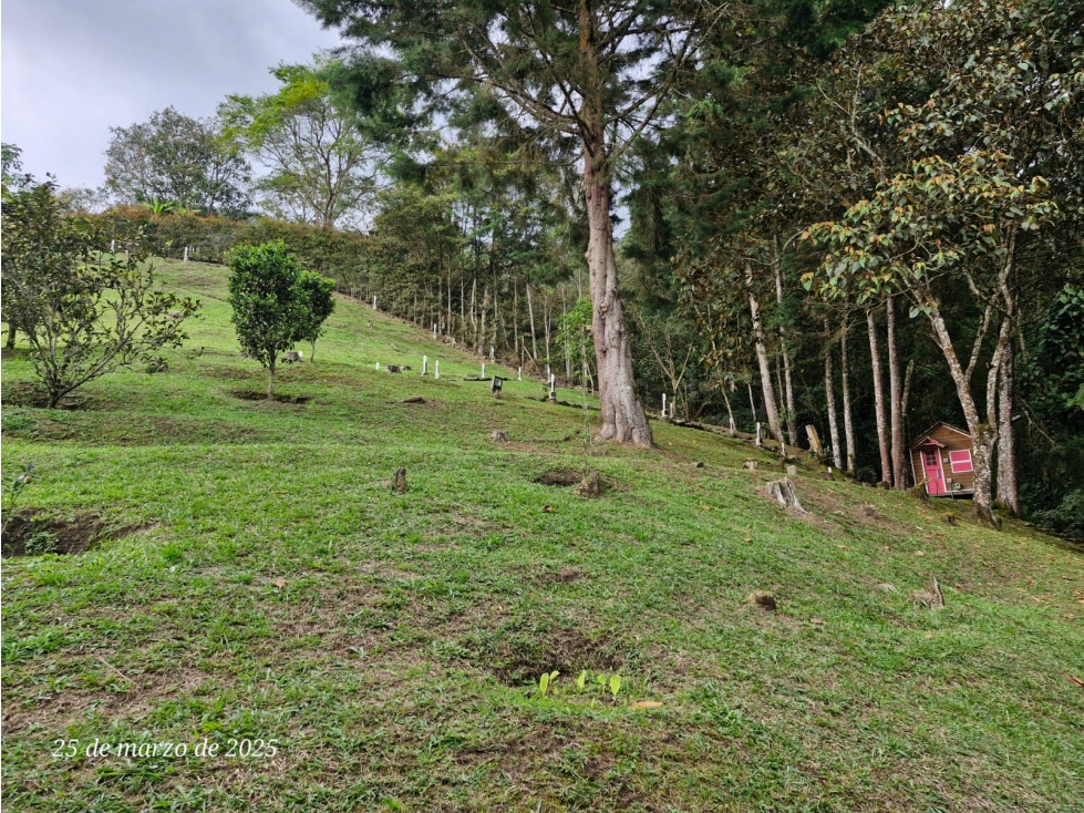 LOTE EN VENTA ENVIGADO, ESCOBERO — foto 5