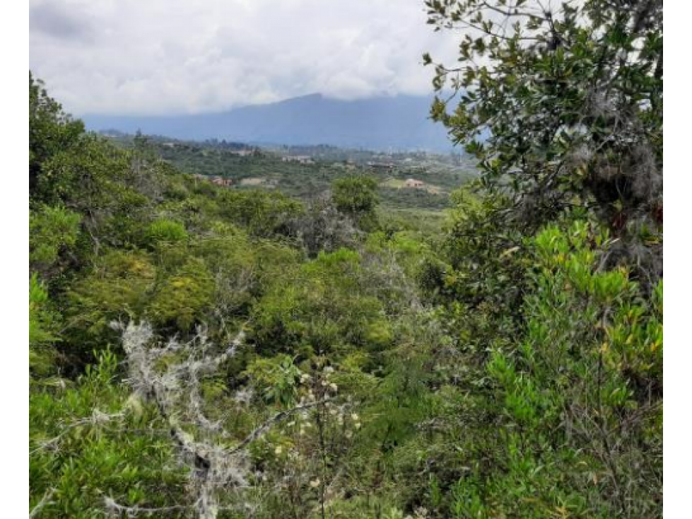 SE VENDE LOTE EN VILLA DE LEYVA, MONQUIRA - 3