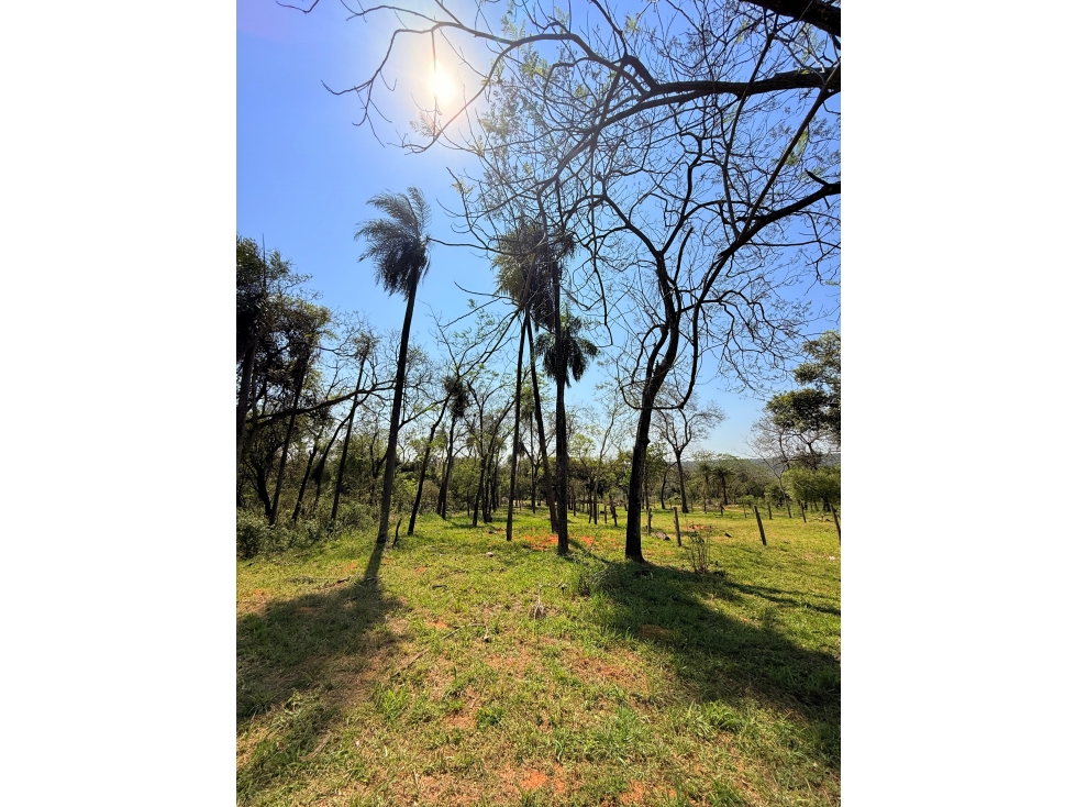 EN VENTA AMPLIO TERRENO EN SAN BERNARDINO ZONA CIERVO CUA - 2