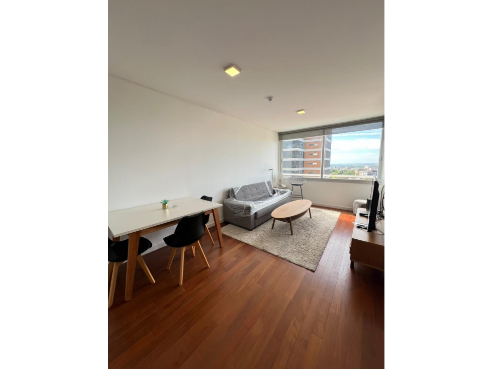 ALQUILO DEPARTAMENTO AMOBLADO DE 1 DORMITORIO ZONA SANTA TERESA.