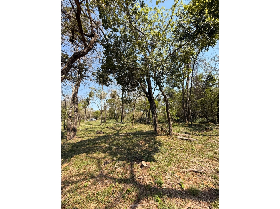EN VENTA AMPLIO TERRENO EN SAN BERNARDINO ZONA CIERVO CUA - 4