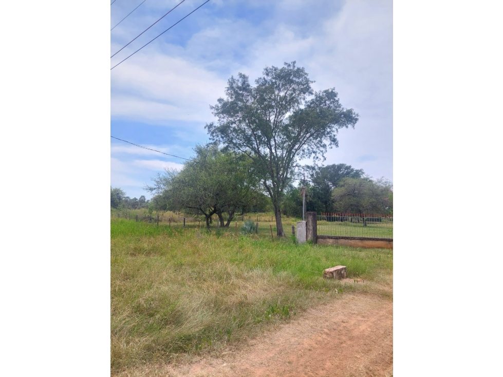 VENDO CAMPO EN VILLETA A BUEN PRECIO - 3