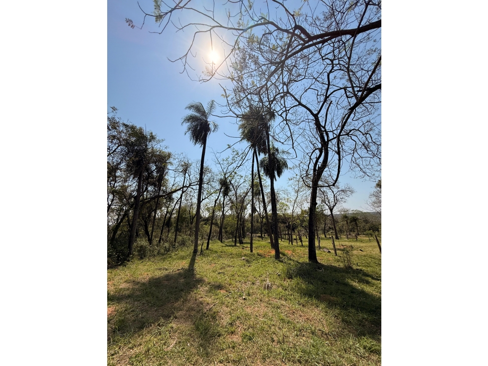 EN VENTA AMPLIO TERRENO EN SAN BERNARDINO ZONA CIERVO CUA - 3