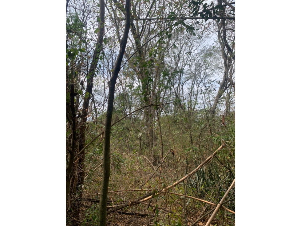 VENDO AMPLIO TERRENO SOBRE EL RIO EN SAN ANTONIO - 5
