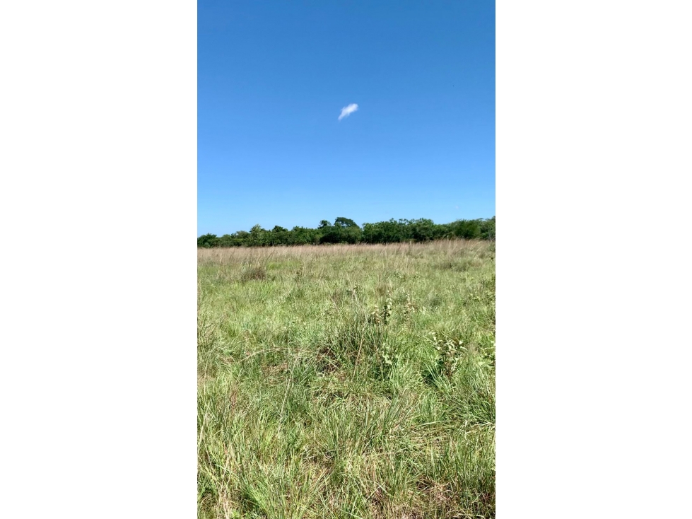VENDO 6 TERRENOS EN SAN BERNARDINO - 5