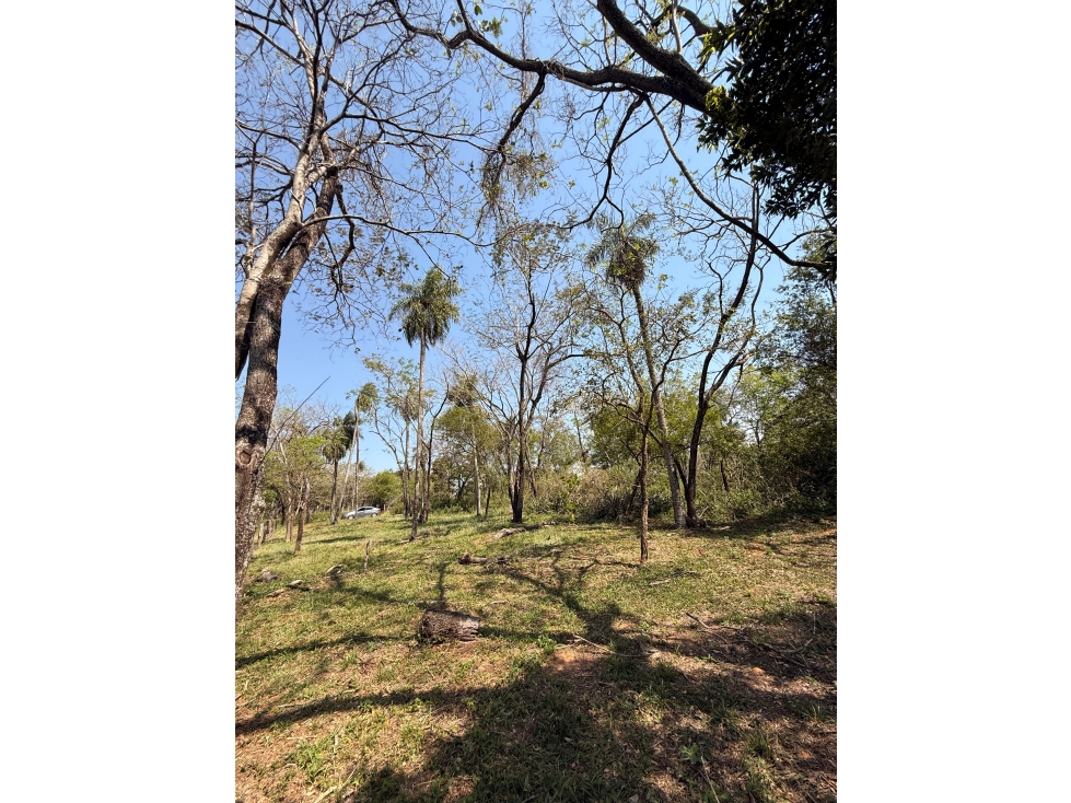 EN VENTA AMPLIO TERRENO EN SAN BERNARDINO ZONA CIERVO CUA - 5