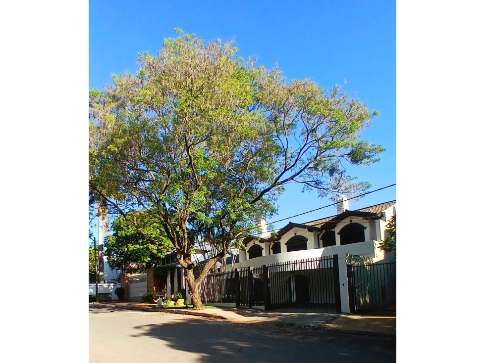 ALQUILO IMPORTANTE CASA DE 5 DORMITORIOS BARRIO MANORA - 1