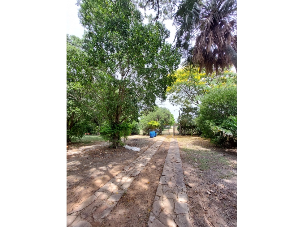 VENDO CAMPO EN VILLETA A BUEN PRECIO - 5