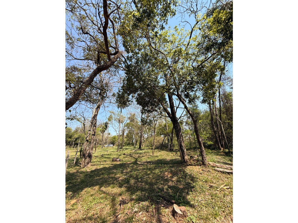 EN VENTA AMPLIO TERRENO EN SAN BERNARDINO ZONA CIERVO CUA - 6