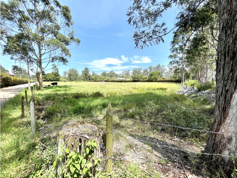 Lote independiente sector llanogrande 11.000 metros