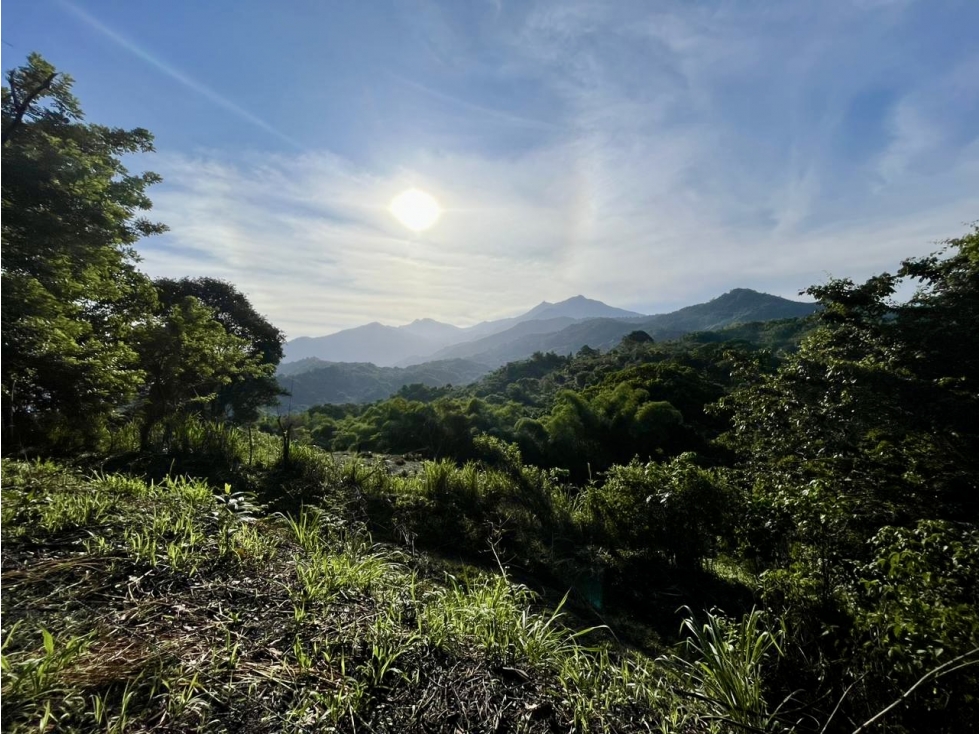 VENTA SANTUARIO - FINCA CON VISTA A SANTA MARTA EN MINCA