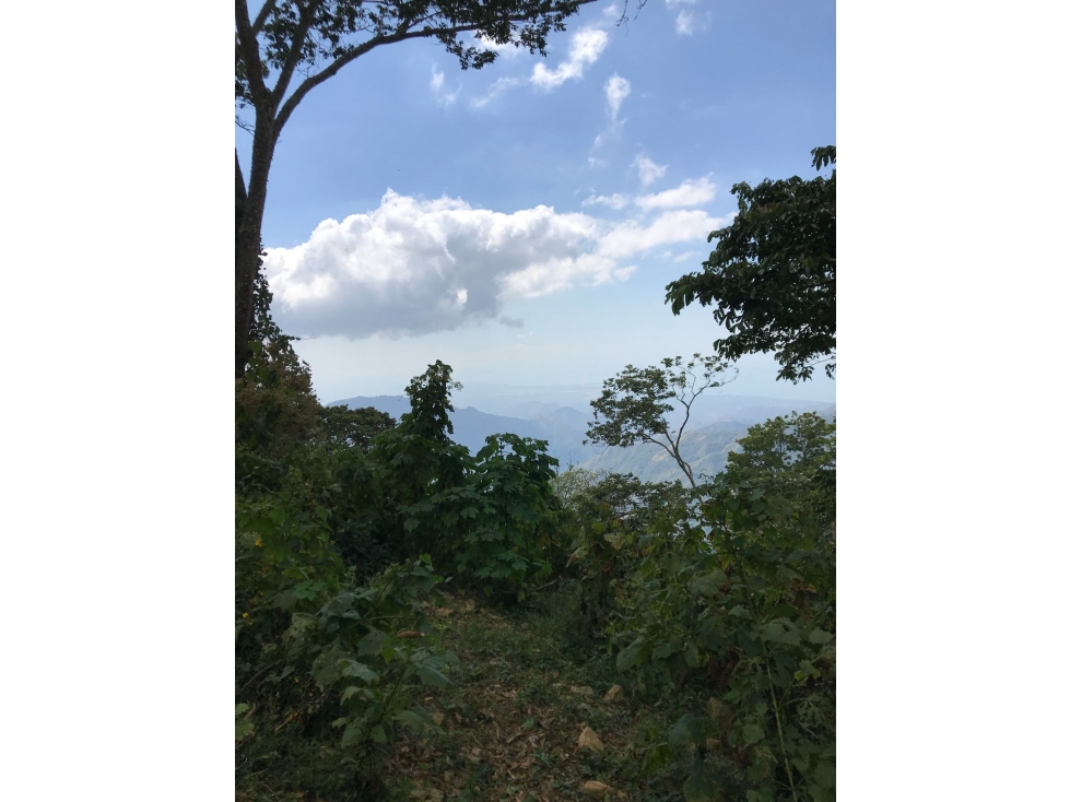 VENTA LOTE TERRENO CAMPESTRE MINCA - CAMPANO - LA TAGUA