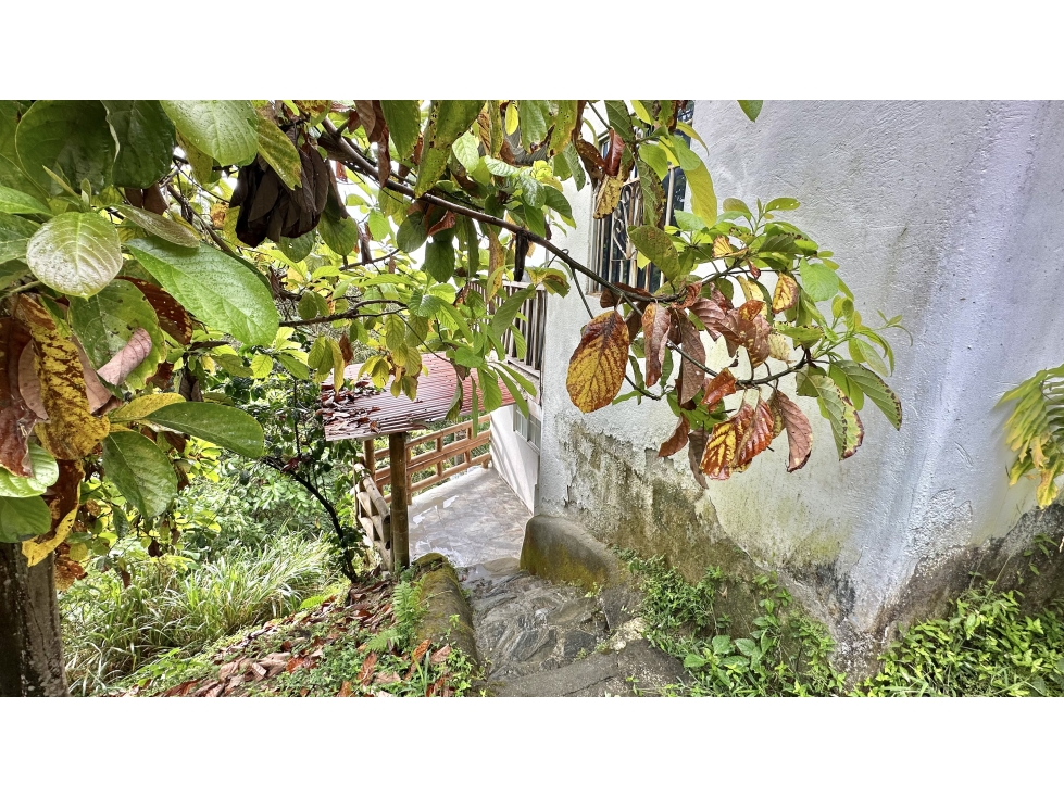 VENTA CASA LOTE CAMPESTRE EN MINCA — foto 5