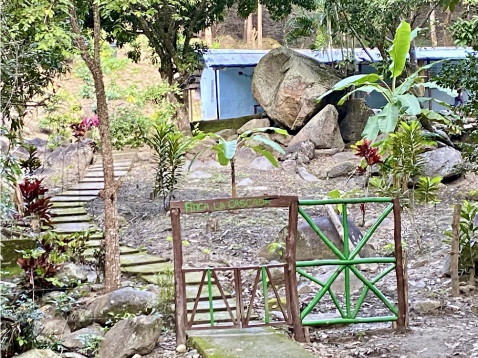 VENTA FINCA 35 HAS CON CASCADA PRIVADA EN TIGRERA CERCA A MINCA — foto 3
