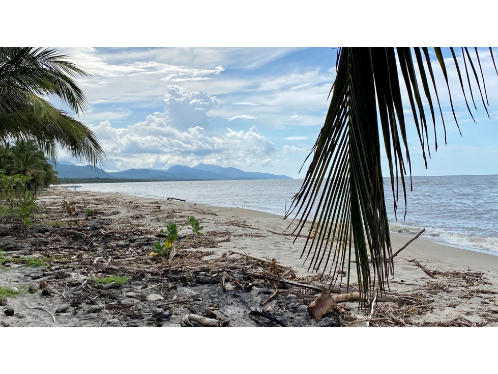 VENTA LOTES FRENTE AL MAR - TAYRONA BURITACA GUACHACA SANTA MARTA — foto 4