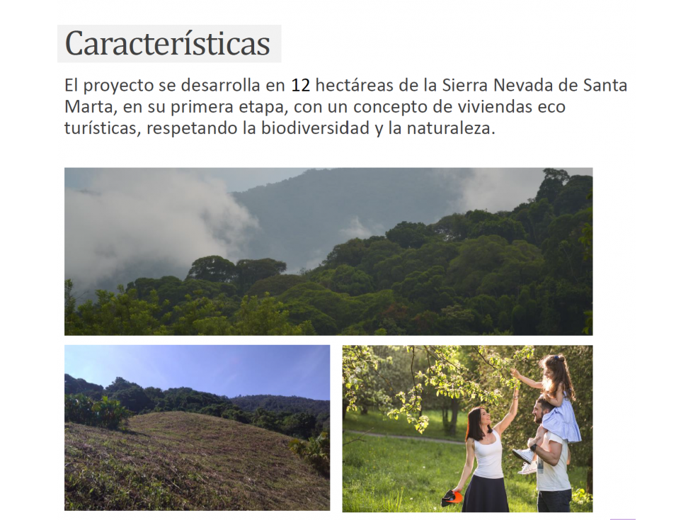 VENTA LOTE MINCA CONJUNTO CERRADO SIERRA NEVADA DE SANTA MARTA — foto 6