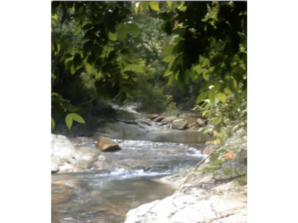 VENTA FINCA QUEBRADA VALENCIA — foto 6