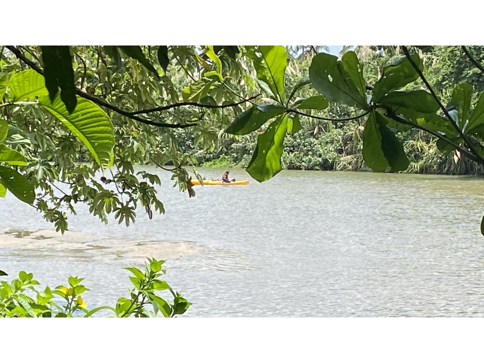 VENTA LOTES FRENTE A RIO EN TAYRONA - MENDIHUACA - GUACHACA - BURITACA — foto 5
