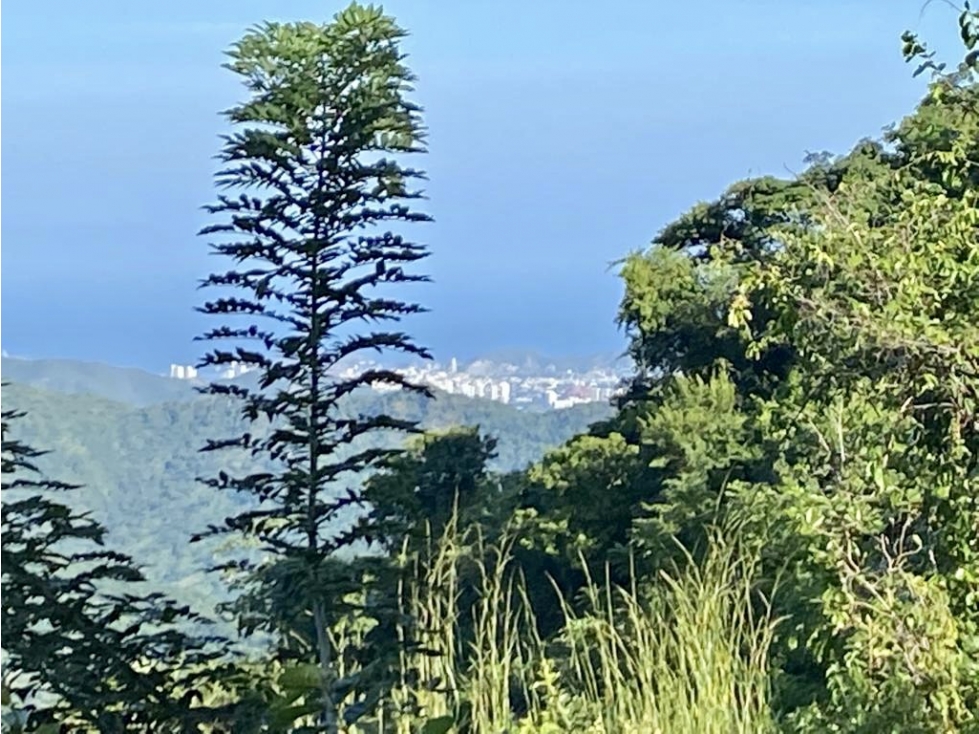 VENTA FINCA 35 HAS CON CASCADA PRIVADA EN TIGRERA CERCA A MINCA