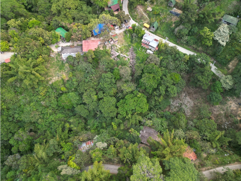 VENTA CASA LOTE CAMPESTRE EN MINCA — foto 3