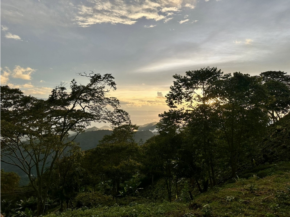 VENTA LOTE TERRENO CAMPESTRE MINCA - CAMPANO - VISTA NIEVES - LA TAGUA — foto 3