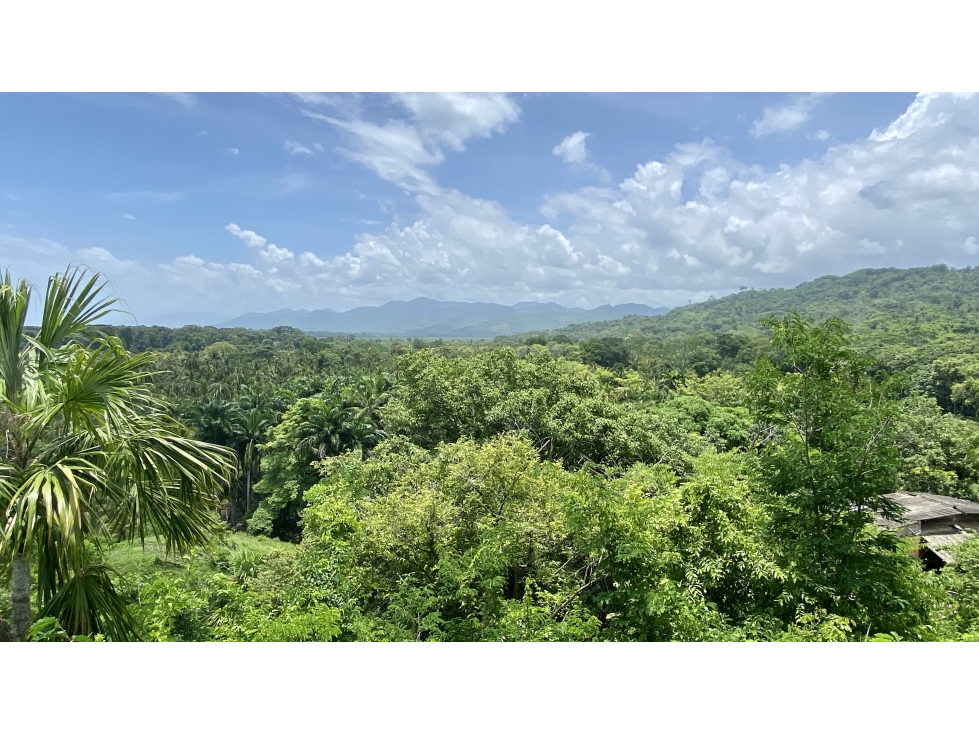 VENTA LOTES FRENTE A RIO EN TAYRONA - MENDIHUACA - GUACHACA - BURITACA — foto 6