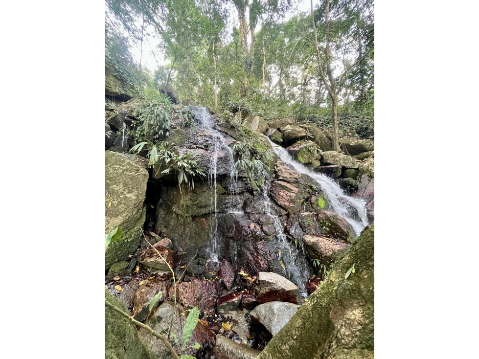 VENTA SANTUARIO - FINCA CON VISTA A SANTA MARTA EN MINCA — foto 5