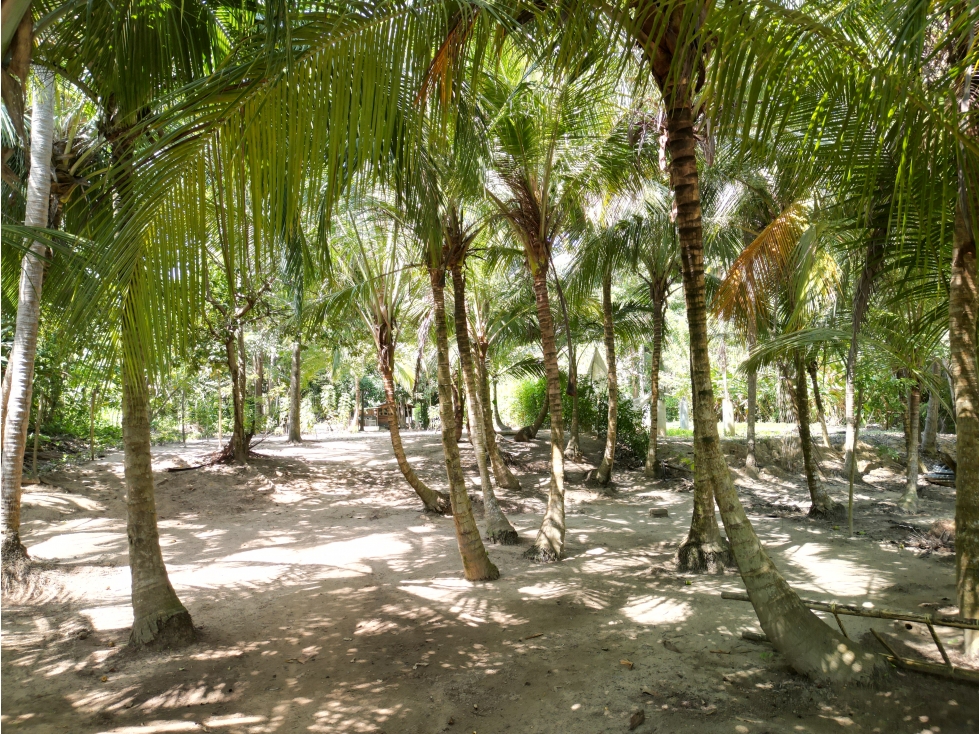 VENTA DE LOTE CON FRENTE DE RIO EN TAYRONA - DONDIEGO - 5
