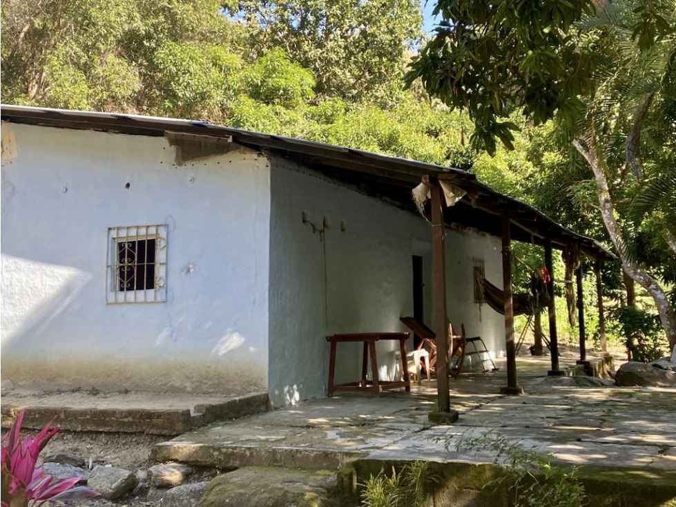 VENTA FINCA 35 HAS CON CASCADA PRIVADA EN TIGRERA CERCA A MINCA — foto 4