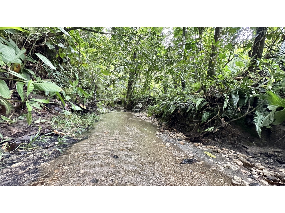 VENTA SANTUARIO - FINCA CON VISTA A SANTA MARTA EN MINCA — foto 6