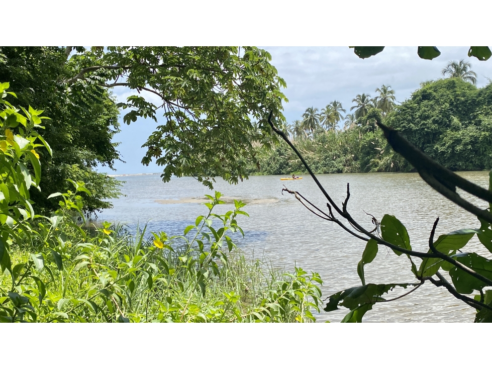 VENTA LOTES FRENTE A RIO EN TAYRONA - MENDIHUACA - GUACHACA - BURITACA — foto 4