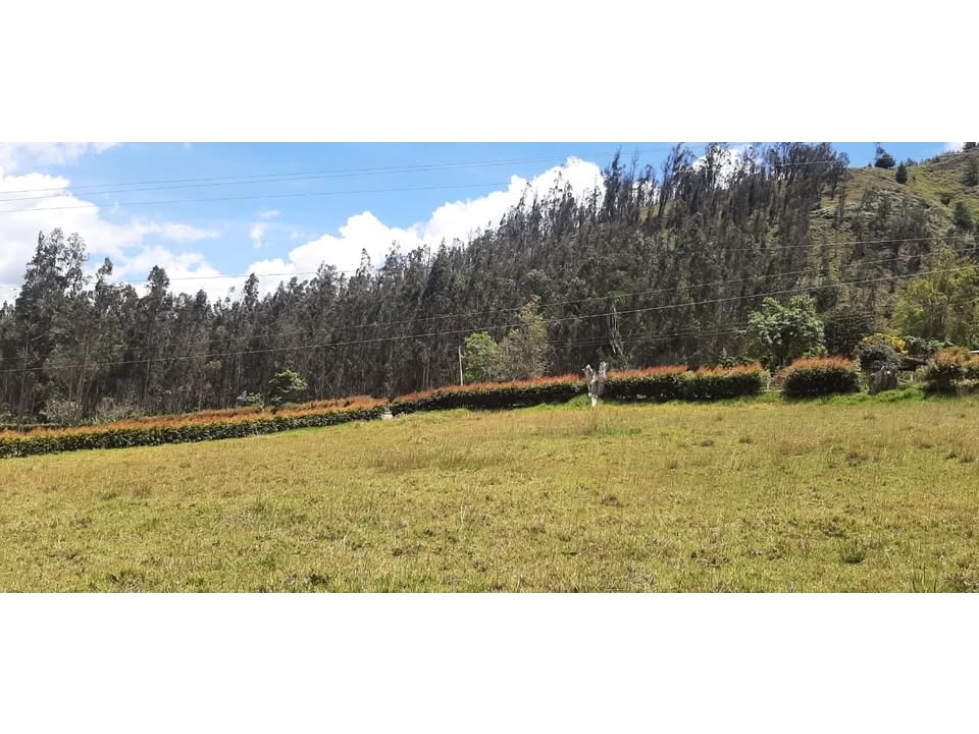¡ESPECTACULAR LOTE EN TURMEQUÃ, BOYACÃ! co13 - 2