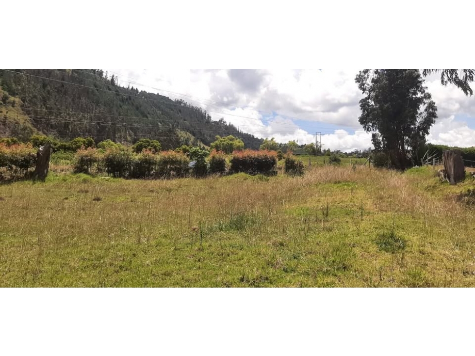 ¡ESPECTACULAR LOTE EN TURMEQUÃ, BOYACÃ! co13 - 3