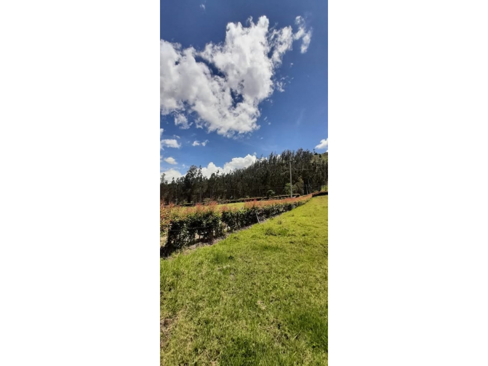 ¡ESPECTACULAR LOTE EN TURMEQUÃ, BOYACÃ! co13 - 4