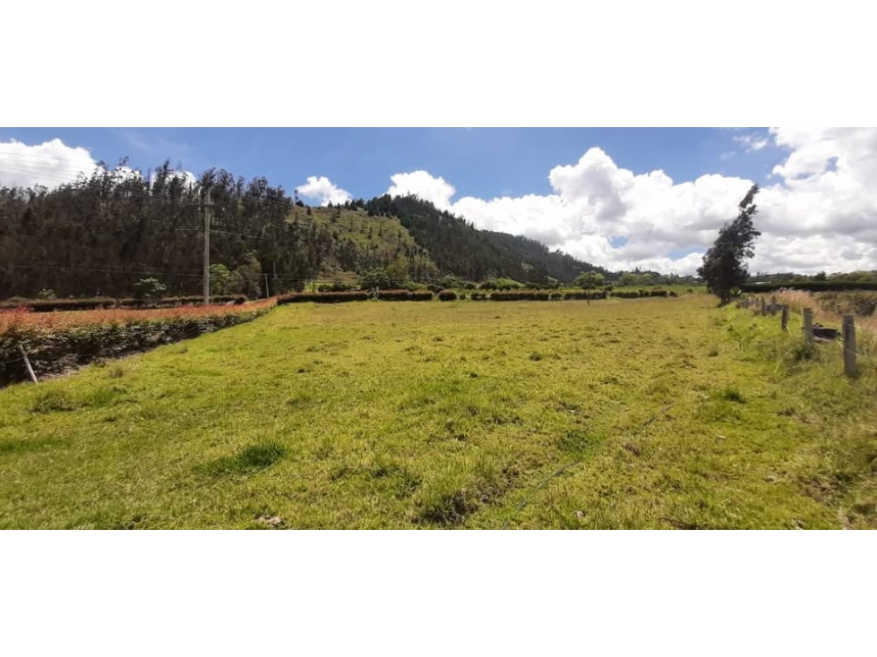 ¡ESPECTACULAR LOTE EN TURMEQUÃ, BOYACÃ! co13 - 5
