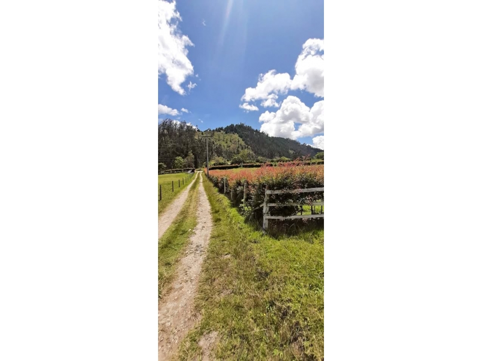 ¡ESPECTACULAR LOTE EN TURMEQUÃ, BOYACÃ! co13 - 6