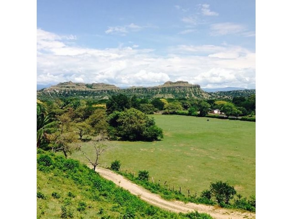 Alquiler Vacacional Finca Armero-Guayabal - 5