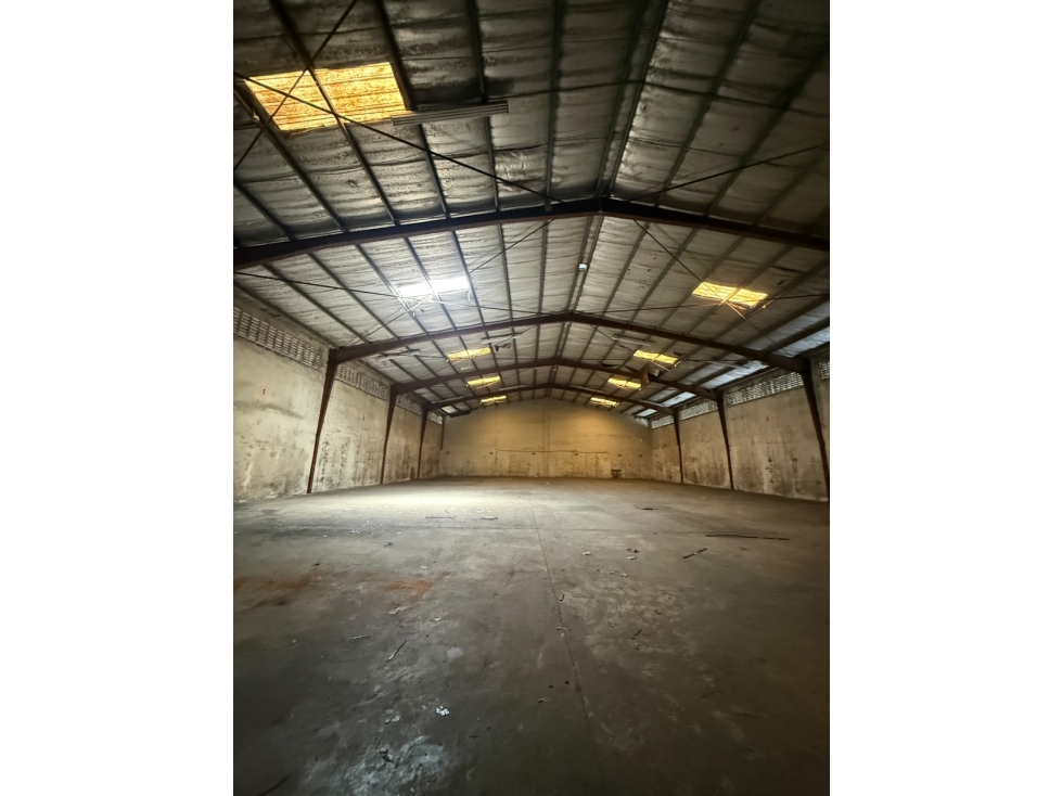 ALQUILO BODEGA ZONA LIBRE FRANCE FIELD