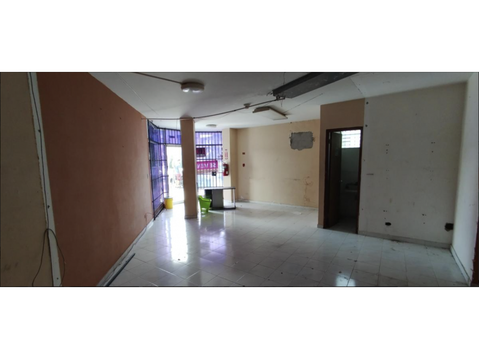 VENDO LOCALES COMERCIALES PARQUE LEFEVRE